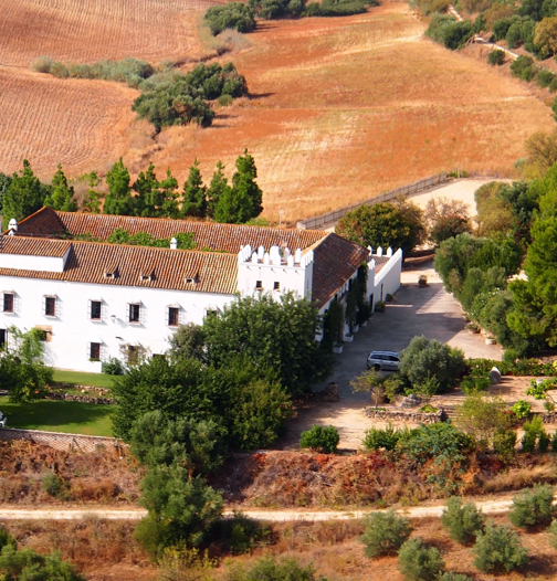 localiza finca localiza finca